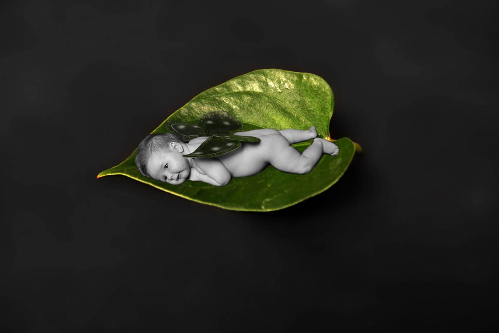 Baby – Fotografie von ArtOfMoments, Berlin